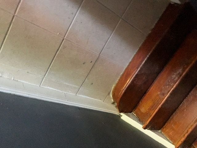 Photo - 7400 Lawndale Ave