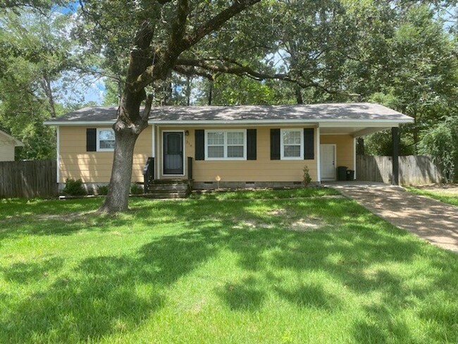 Nice 3 Bedroom Home in Pearl MS - Nice 3 Bedroom Home in Pearl MS