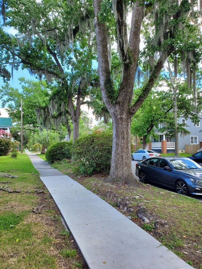 Photo - Newly Renovated 2B Apartment just Blocks f... Unit Lower