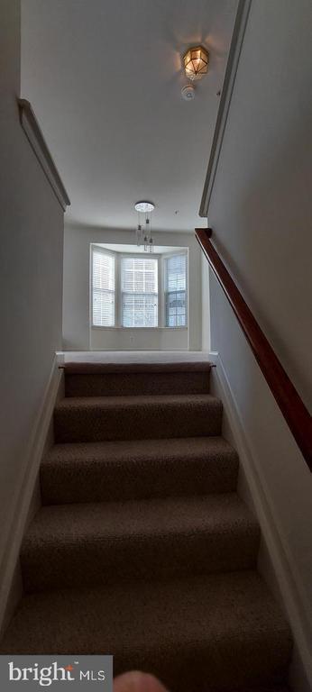 Photo - 7112 Silverleaf Oak Rd