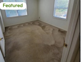 Photo - 1351 Crab Orchard Dr Unidad 302 Rental