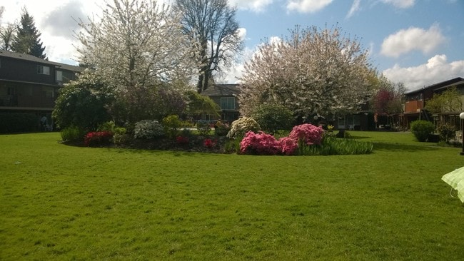 Photo - Oak Grove Village Apartments