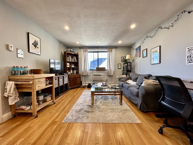 Photo - 50 Gardner St