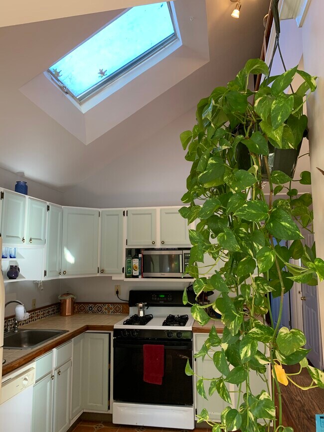 kitchen - 103 Ritchie Avenue Unidad Apt. A