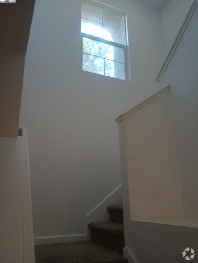 Building Photo - 3127 Puffin Cir Rental