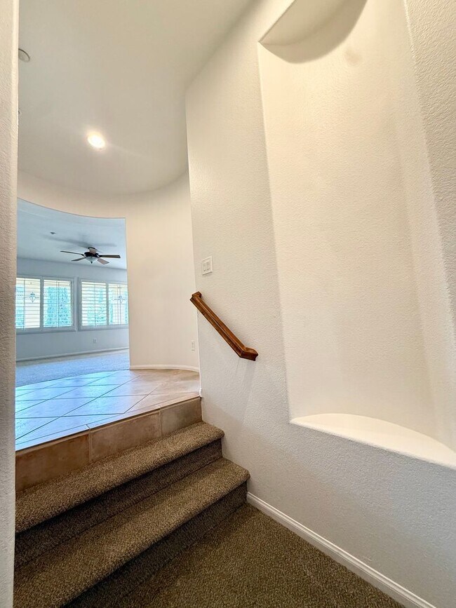 2810 Piantino Cir