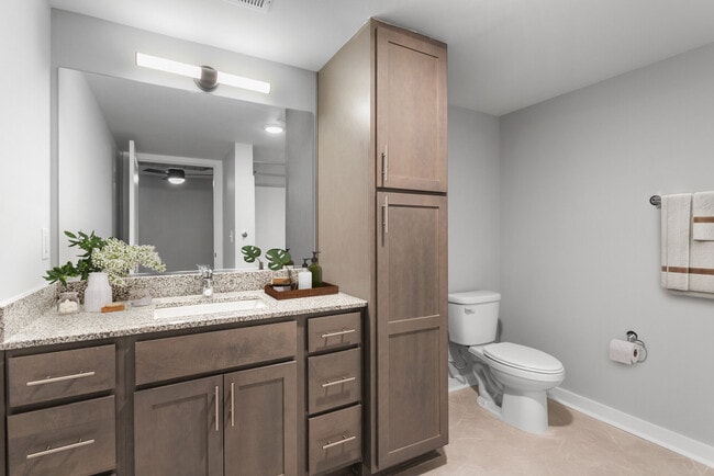 Photo - Dan River Falls