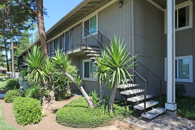 Photo - Monterey Pines Apartments