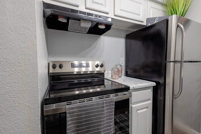 Photo - Steeplechase