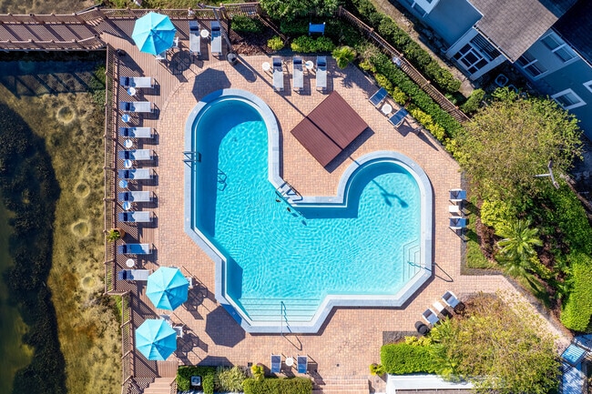 Resort-Inspired Swimming Pool