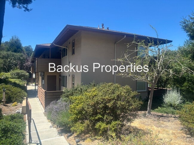 Building Photo - Beautiful studio in Monterey