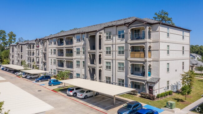 Berkshire Jones Forest - Berkshire Jones Forest