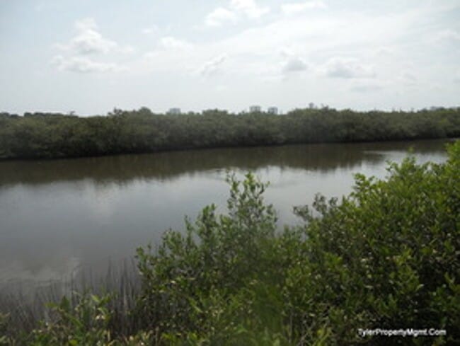 Photo - Preserves at River's Edge