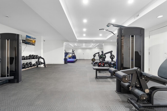 Photo - The Terrace on Lundy's