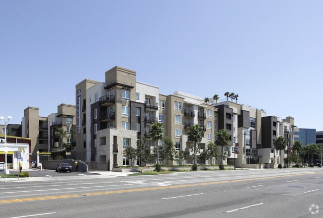 1818 Platinum Triangle - 1818 Platinum Triangle