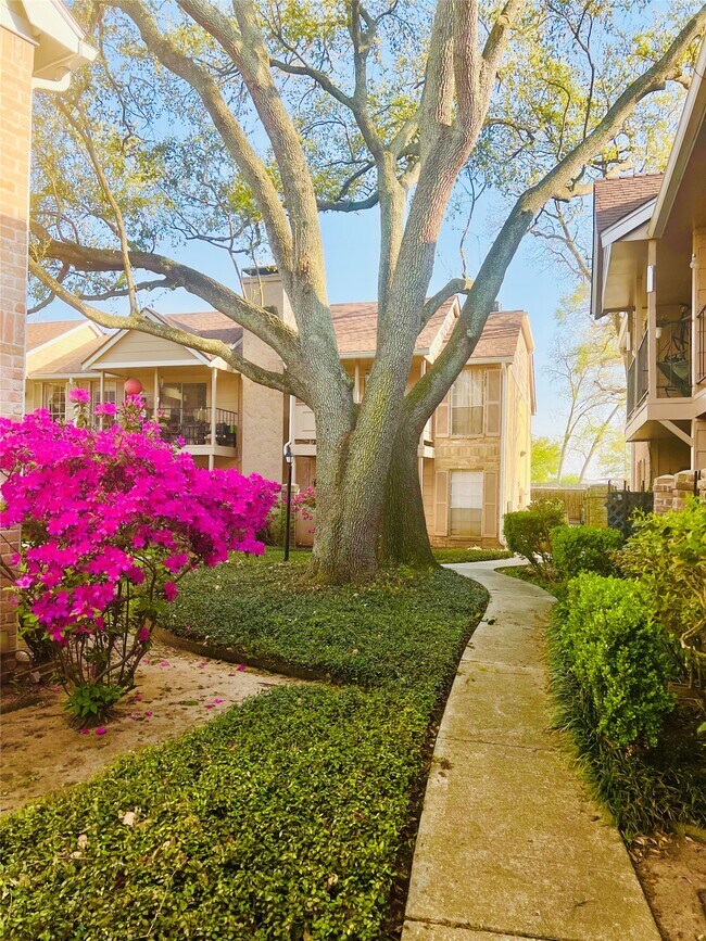 Photo - 2800 Jeanetta St Unit 2810