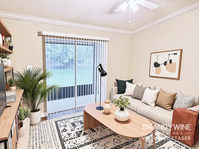 Photo - 244 W 20th St