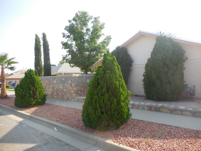 Photo - 11448 Lake Alice Dr