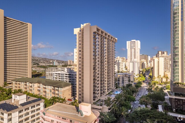 Photo - The Four Paddles