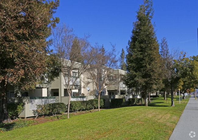 Evergreen Heights