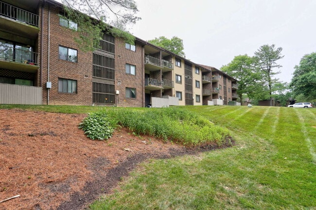 Photo - 1BD/1BA - Great Condo in Columbia Unit 3