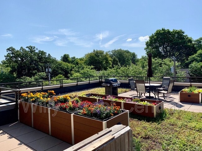 Photo - 315 S Paterson St Unit 206