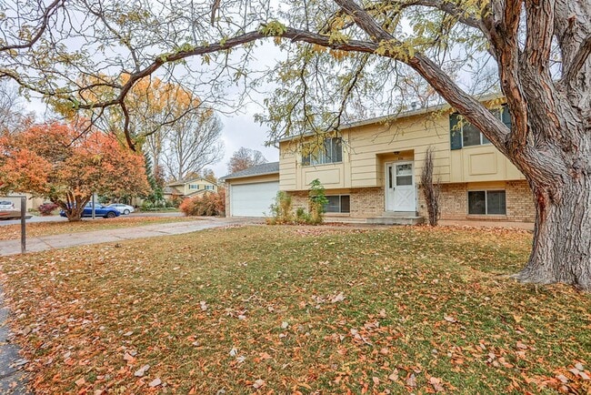 Photo - Beautiful 4 Bedroom Split-Level Home – Large Lot in West Fort Collins