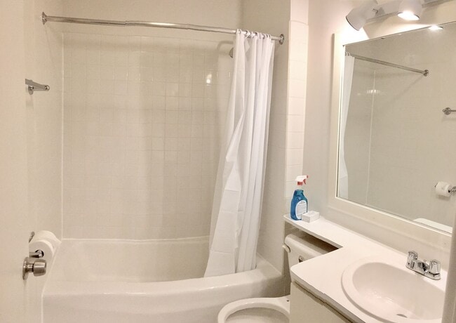 Photo - Hollywood Beach Apartments
