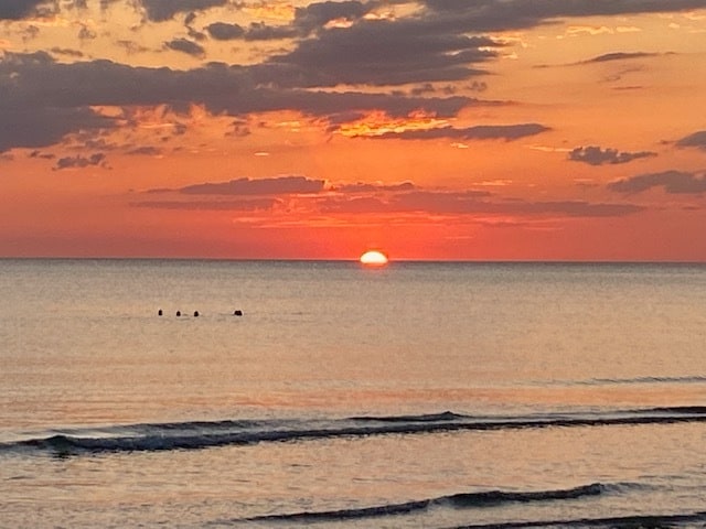 Photo - 519 Roma Ct Unit 519 Roma Ct