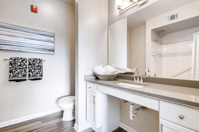 Lowry Park apartments — community photo