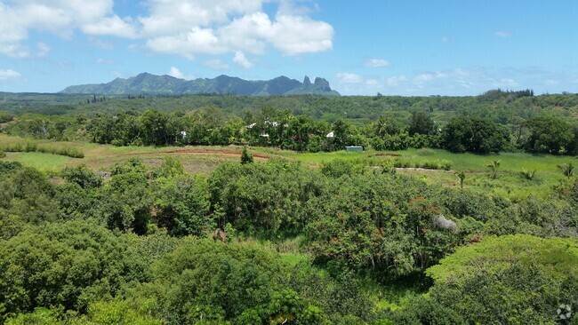 Building Photo - 5362 Kumole St Unit Duplex — Expansive View — Rental