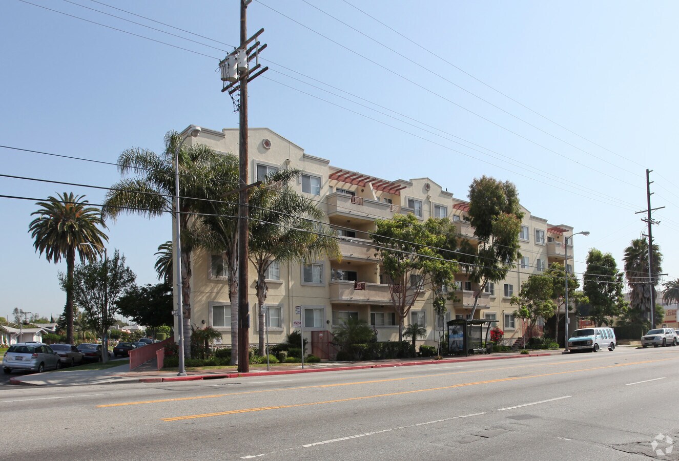 Photo - Adams City Lights Foundation