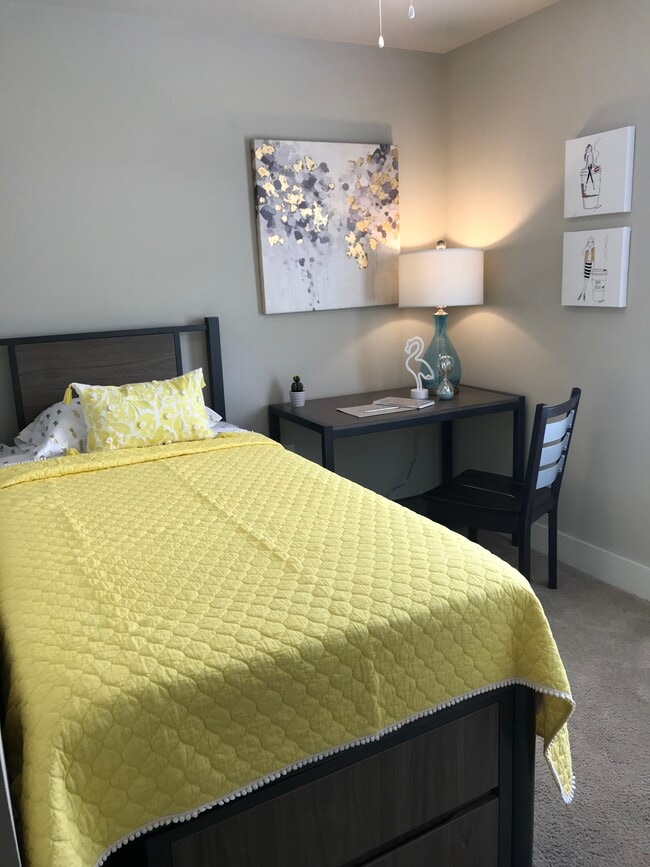 The Oasis (Student Housing) Apartments For Rent in Lynchburg, VA