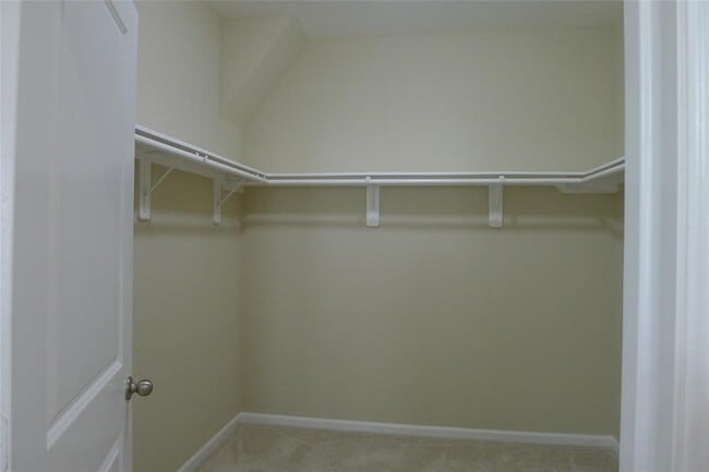 Building Photo - 1025 Blue Beech Ln