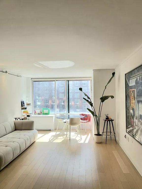 2 bedroom in New York NY 10282 - 2 bedroom in New York NY 10282 Condo Unit 5A