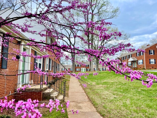 Latham Park Manor - Latham Park Manor Apartments