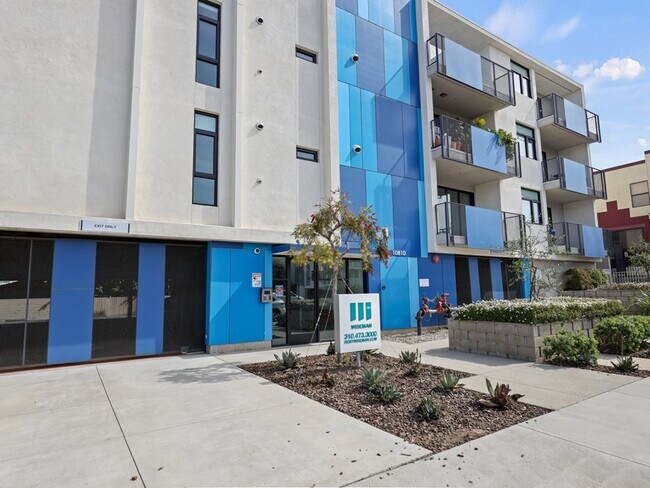 Photo - Palms Blue by Wiseman