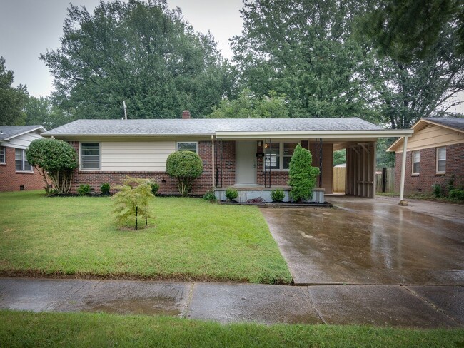 Beautiful renovation! 3bd 2 bath home in S... - Beautiful renovation! 3bd 2 bath home in S...