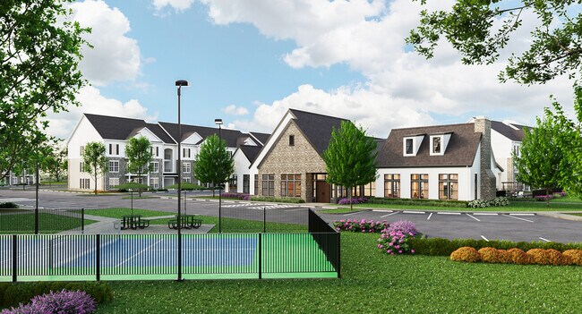 Pickleball Court