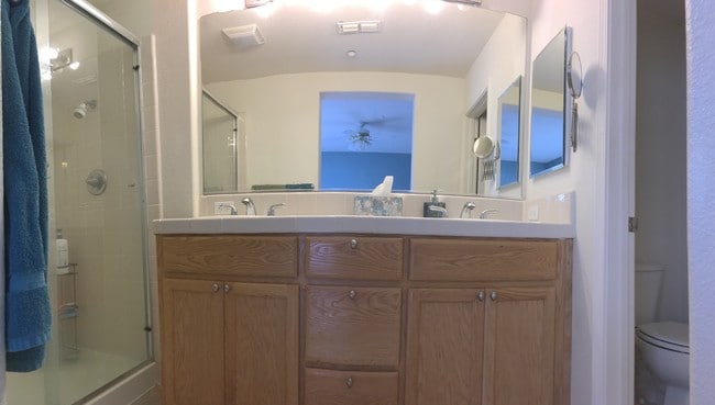 Master bath - 3265 Monaghan St Unit 0