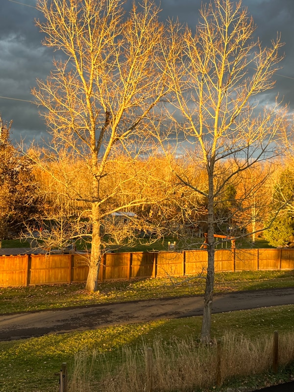 Photo - 1542 Cobb Hill Rd