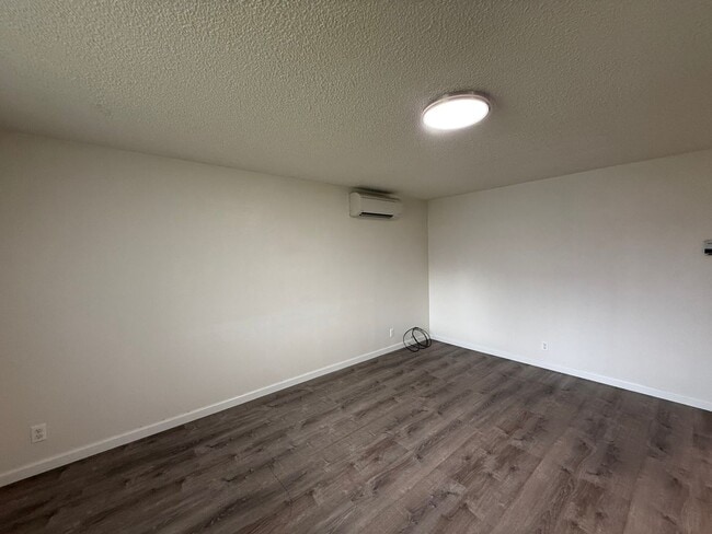 Photo - Thurston Charmer