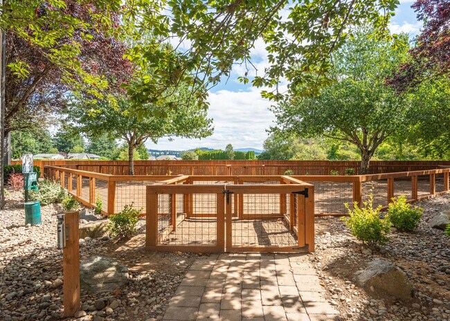 Photo - Mountain Meadows