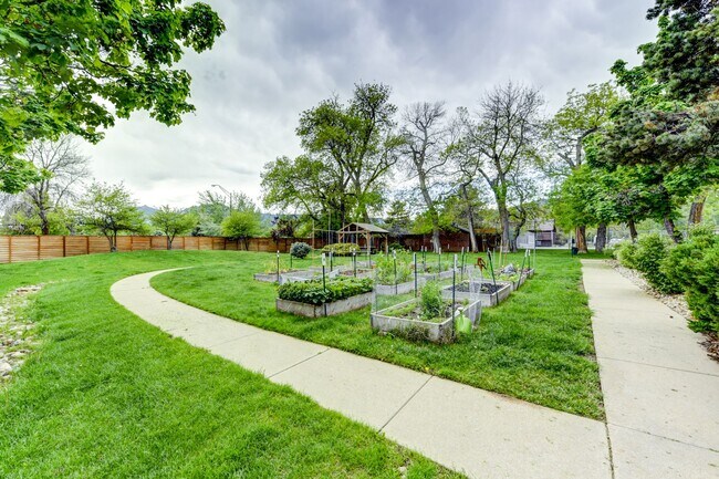 The gardens