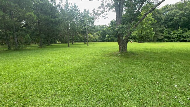 Photo - 206 Webb Rd