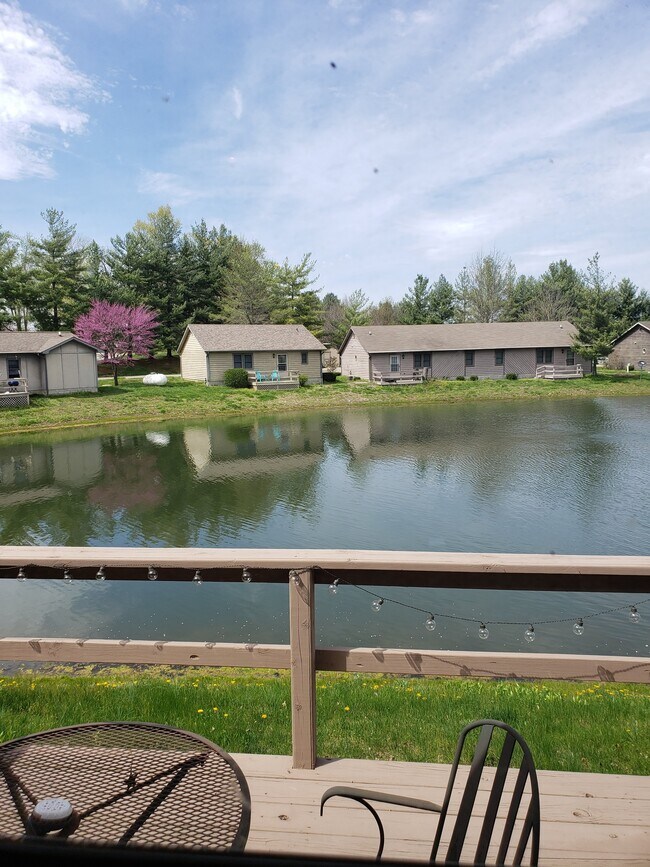 Pine Shores Rentals For Rent in Carbondale, IL