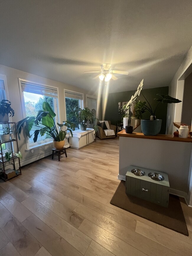 Photo - 21 Harris St