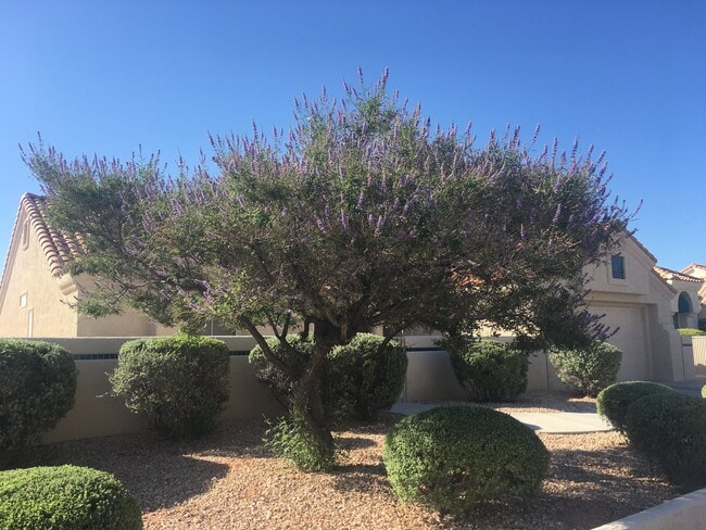 Photo - 3032 Hidden Treasure Dr