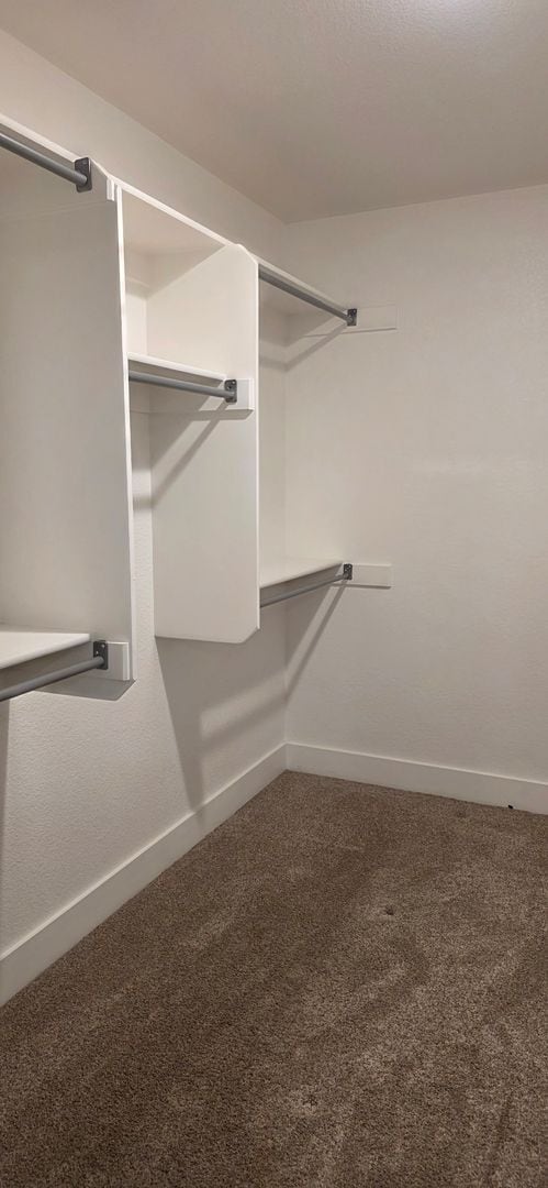 Photo - 2906 Cribbon Ave