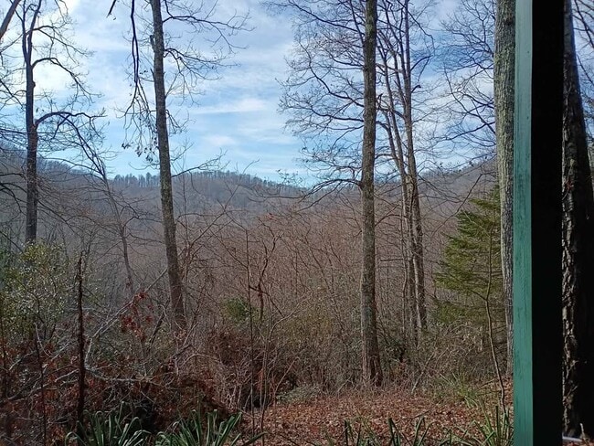 Photo - 6264 Bearwallow Mountain Rd